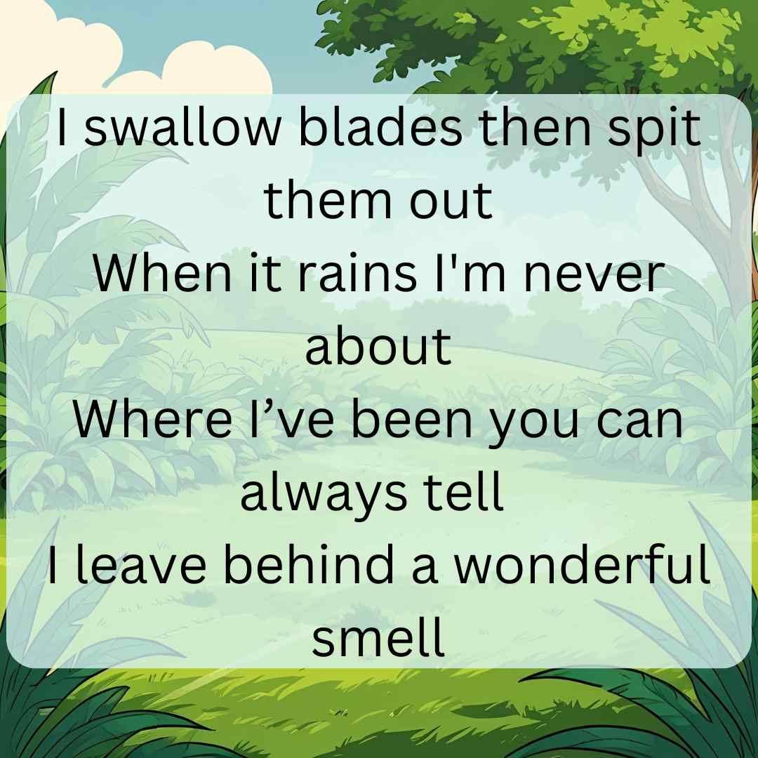 riddles for kids, brain teaser, fun for kids, kids puzzle, what am I, educational video, children’s author, animated author, logic puzzle, classroom riddle, short riddle, kids brain games, critical thinking kids, homeschool activity, brain break video, guessing game